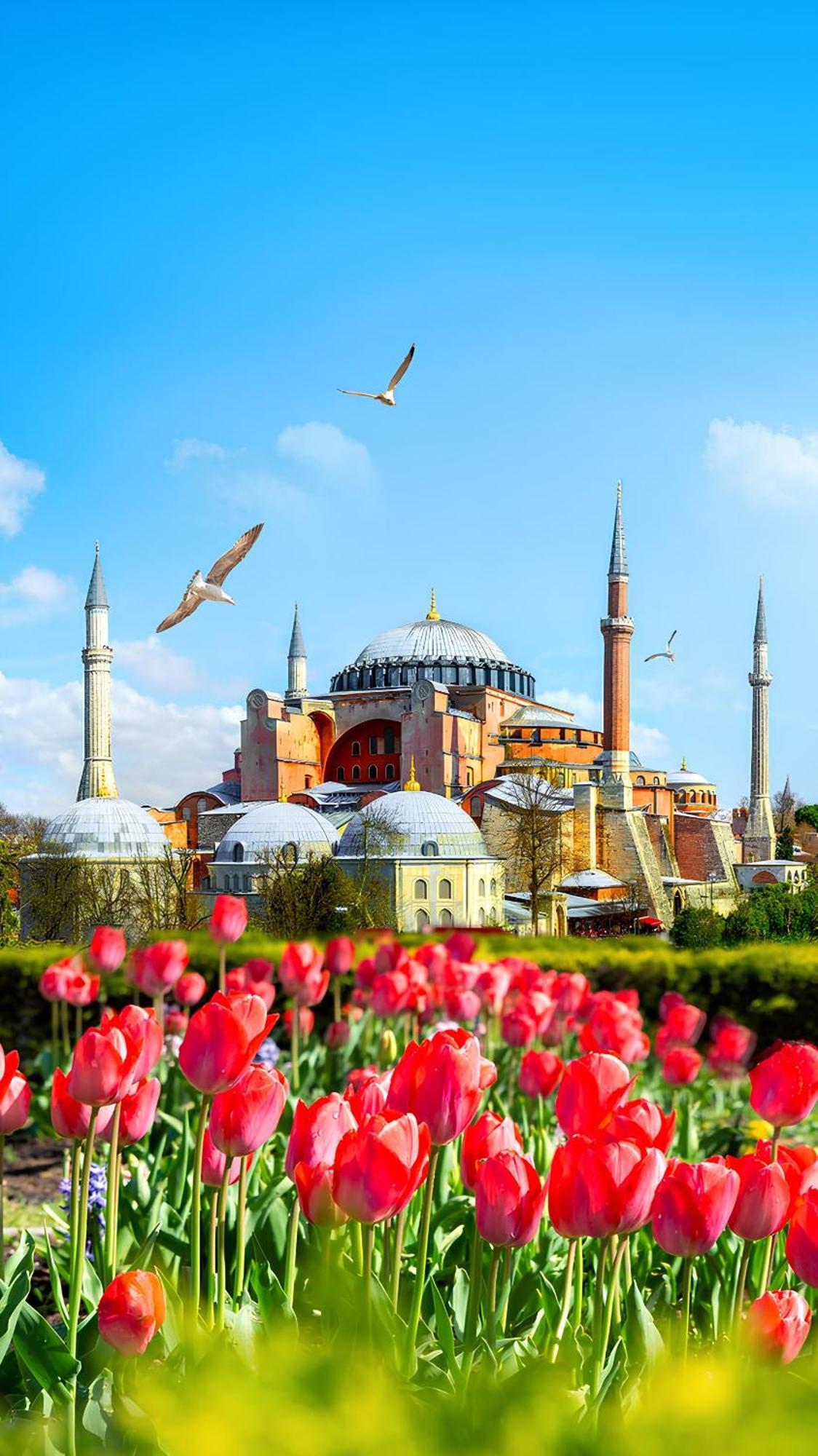 Myra Sea Sultanahmet * Istambul