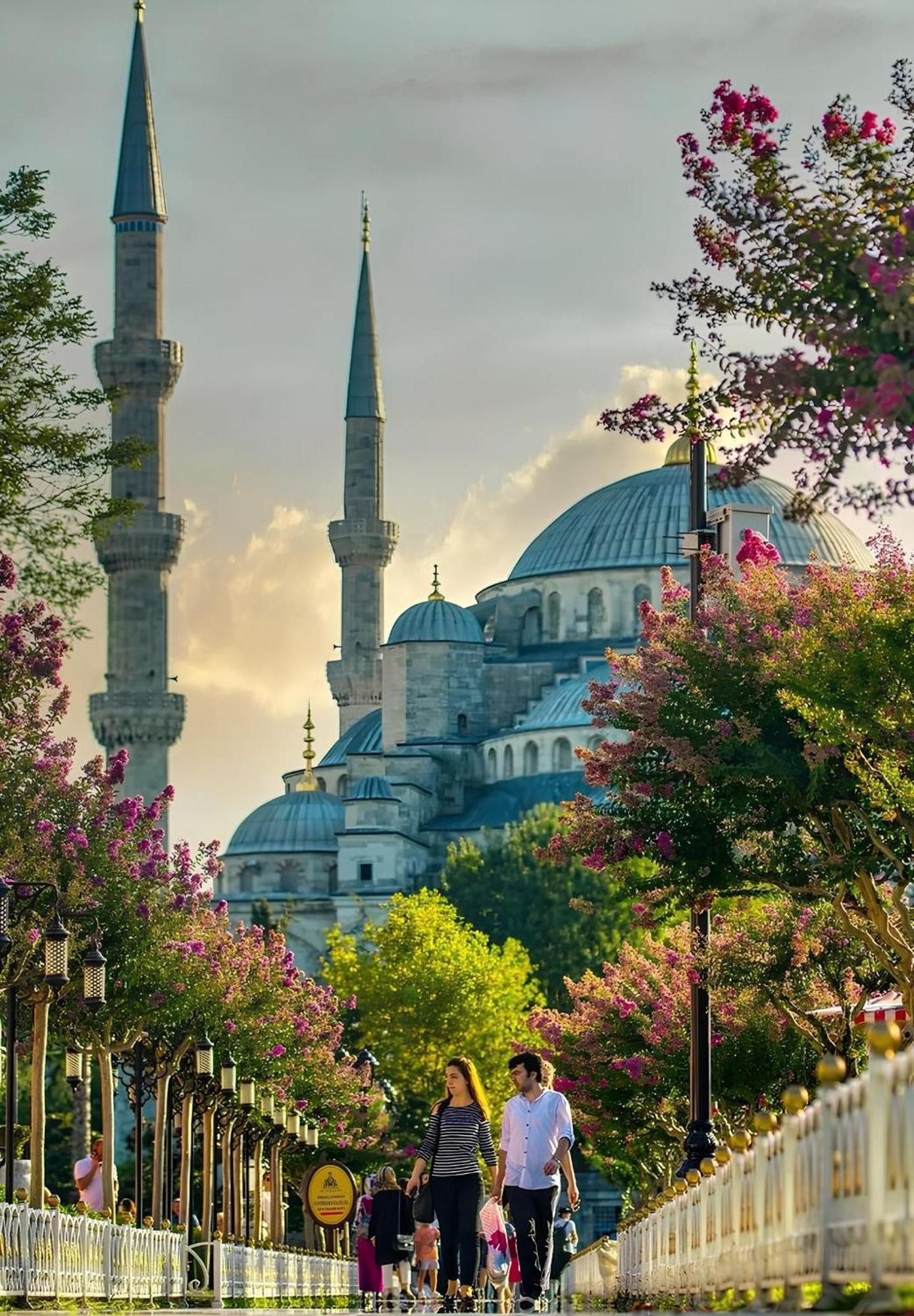 Myra Sea Sultanahmet Istambul